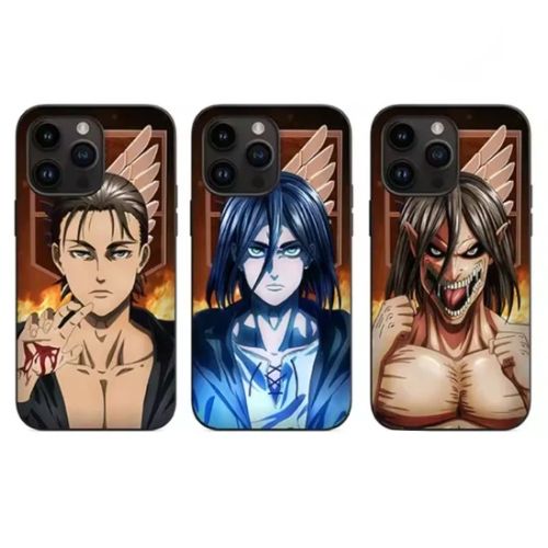 3D Anime Case